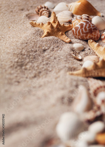 Summer beach vacation or holiday background with sand seashells and starfish.