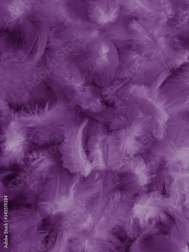 Beautiful abstract white and purple feathers on white background and soft white feather texture on white pattern and purple background  feather pink background   purple banners