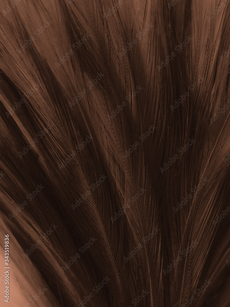 Naklejka premium Beautiful abstract white and brown feathers on white background and soft yellow feather texture on white pattern and yellow background, feather background, gold feathers banners