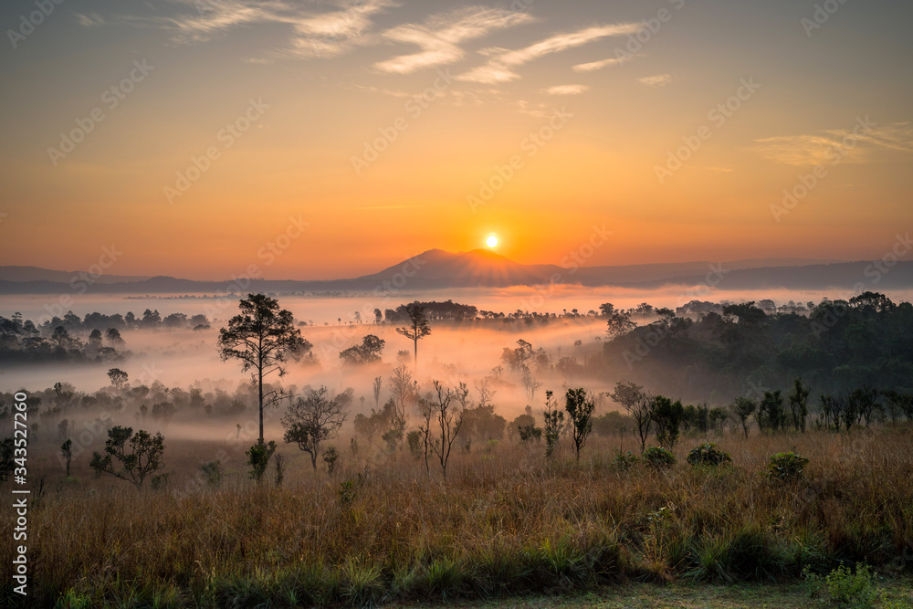 Beautiful mountain views and fog during the morning sun at Thung Salaeng Luang viewpoint, Phitsanulok, Thailand.