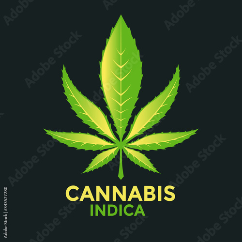 Marijuana or cannabis vector leaf