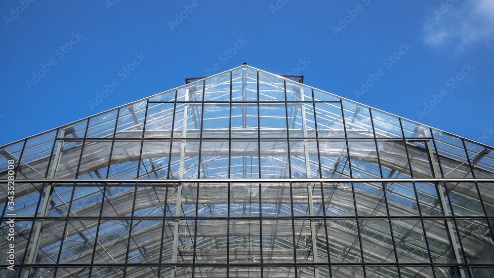 The glass roof of the organic vegetable greenhouse. The glass roof of the organic vegetable greenhouse.