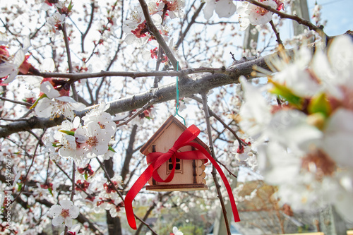 spring mortgage concept, small wooden house with a red ribbon on a flowering apricot branch © Александр Гаврилычев