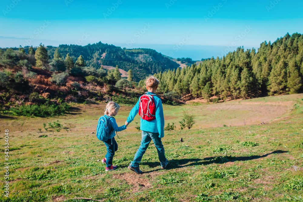 boy and girl travel in nature, kids hiking in mountains