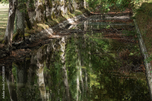 natural background with reflection of a tree in the water. 