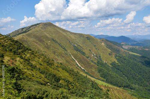 Carpathian Mountains with its peaks, hills and grassy meadows under the blue sky with clouds in summer day. Beautiful scenery in mountains. Ukraine