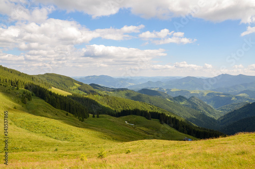 Panoramic landscape of Carpathian mountains on a sunny day. Trees on the grassy hillside meadow. Distant ridge with high peak beneath a cloudy sky. Beautiful landscape of Ukrainian Carpathians