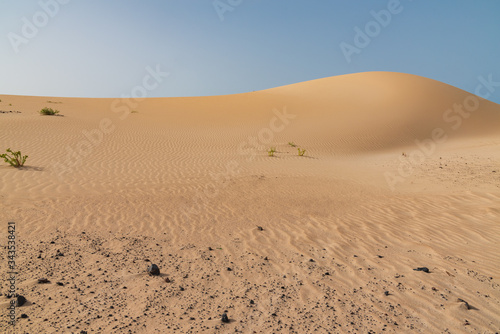 sand dunes in the sahara desert