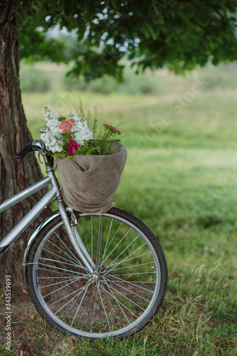 An old Bicycle with a basket of flowers under a tree
