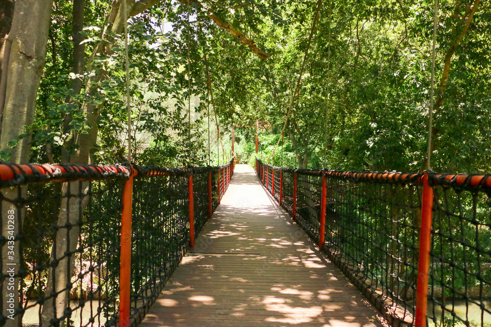 Bridge at the Zoo
