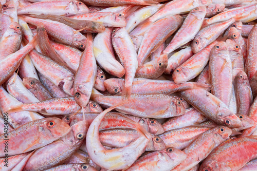 top view of fresh Mediterranean red mullets in a market