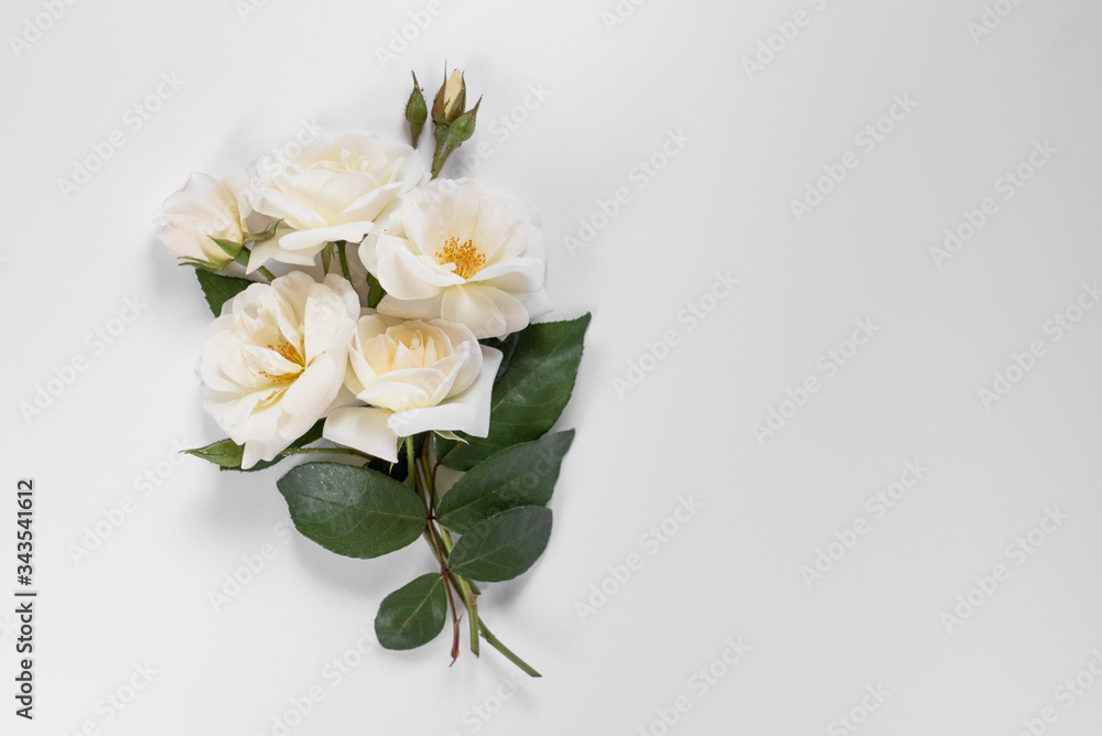 A bouquet of white garden roses on the white background  with copy space on the right