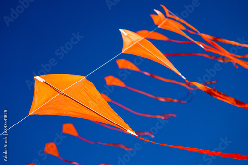orange kites flies in the blue sunny sky