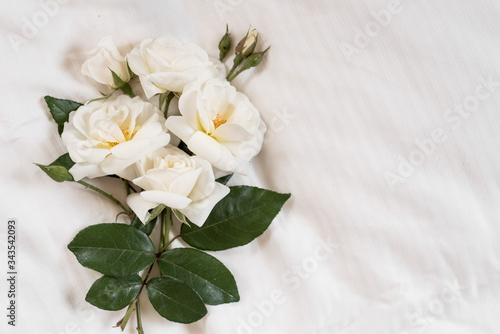 A bouquet of white garden roses in bed with copy space on the right