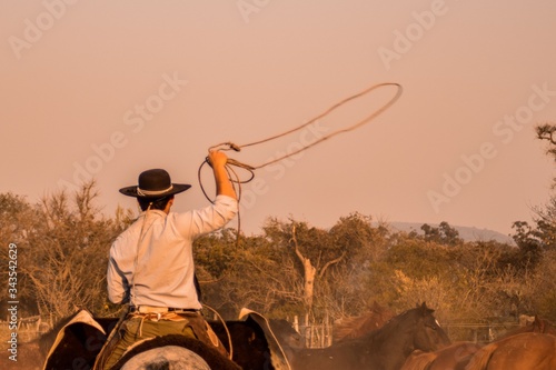 argentinian cowboy at work