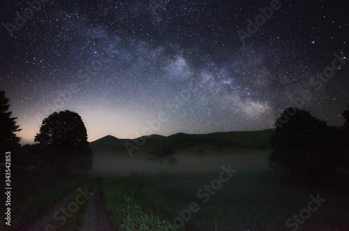 Canvas Print Scenics View Of Dirt Road With Trees And Grass Against Sky With Stars