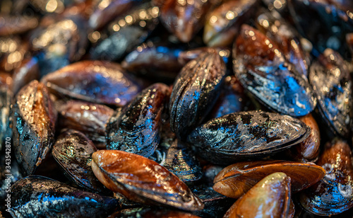 Fototapeta Naklejka Na Ścianę i Meble -  fresh mussels on the sea food market