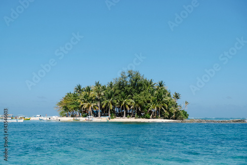 tropical beach with palm trees photo