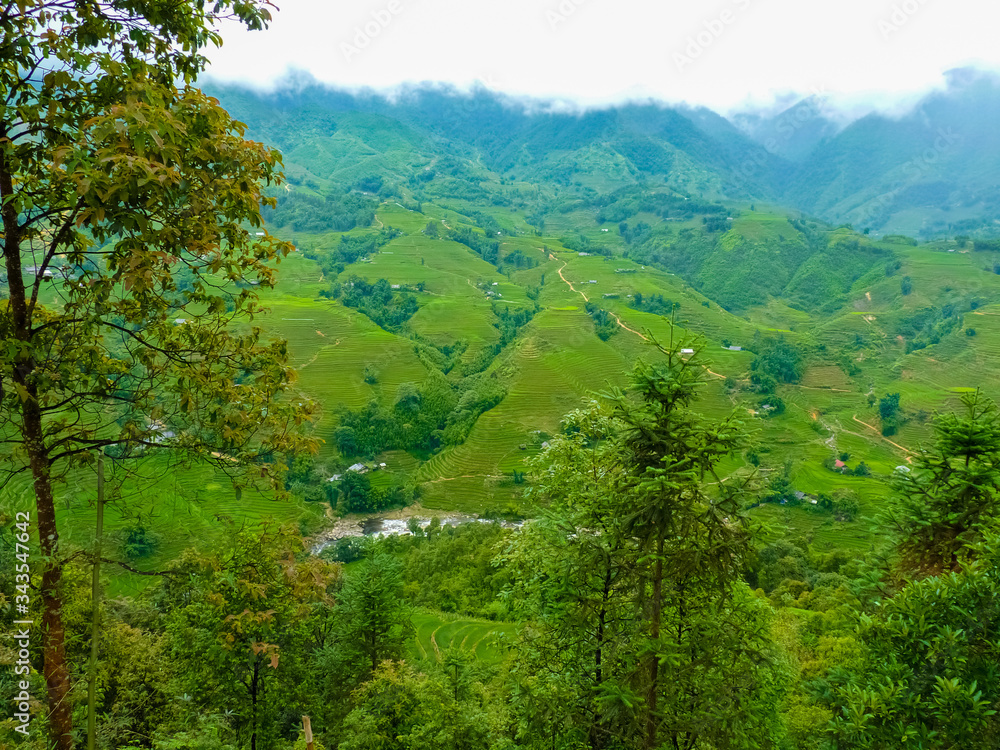 Lào Cai rice fields near Sapa (Chapa) in north mountains of Vietnam, Lào Cai, Vietnam Lào Cai rice fields near Sapa (Chapa) in north mountains of Vietnam, Lào Cai, Vietnam