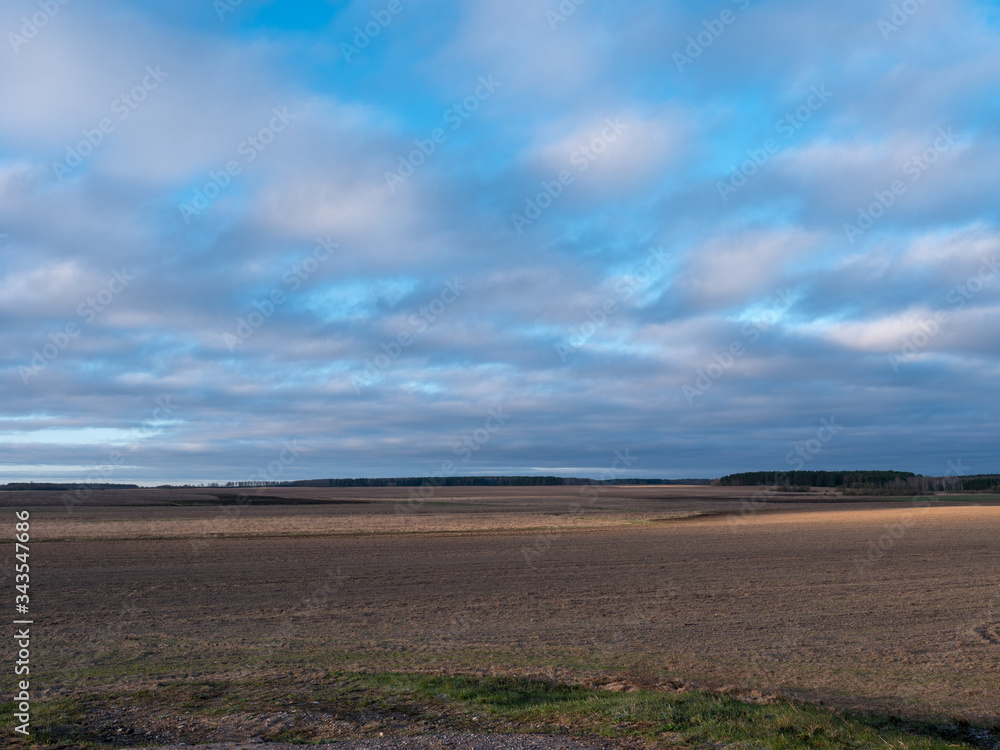 clouds floating over a field with crops at dawn