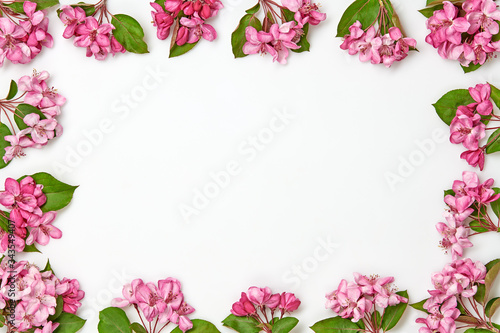 Blossom spring pattern on white background. Beautiful pink bloom flowering border, top view. Creative concept, fashionable trendy flat lay. Springtime blooming frame.