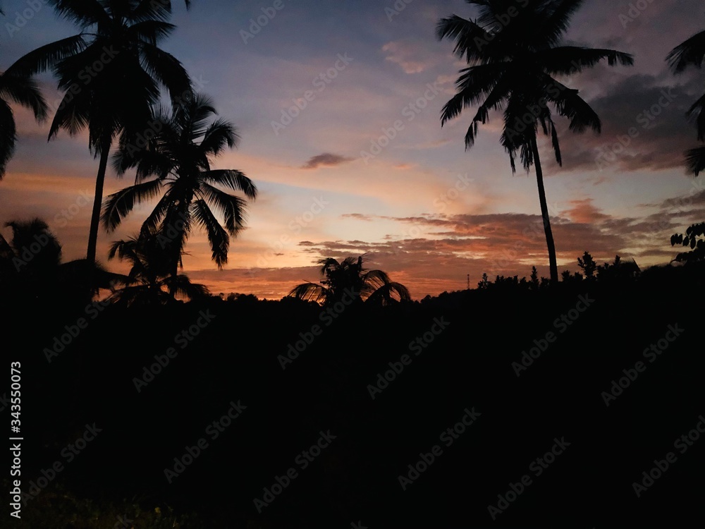 Golden sunset surrounded by coconut trees 