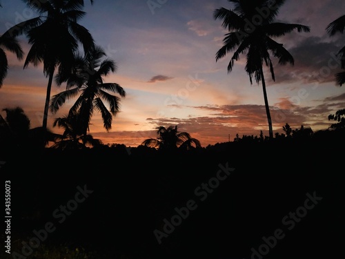 Golden sunset surrounded by coconut trees  © anuradha