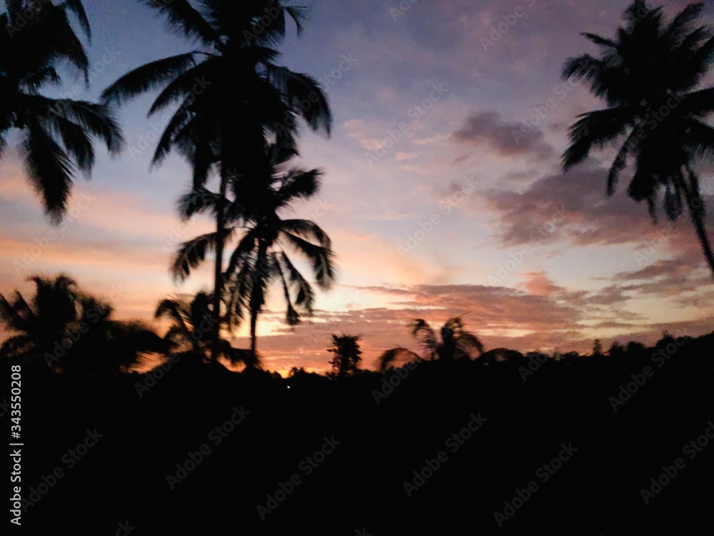 Golden sunset surrounded by coconut trees 