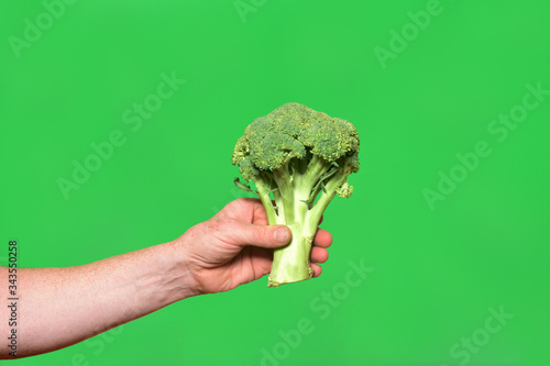 hand holding a broccoli on green background