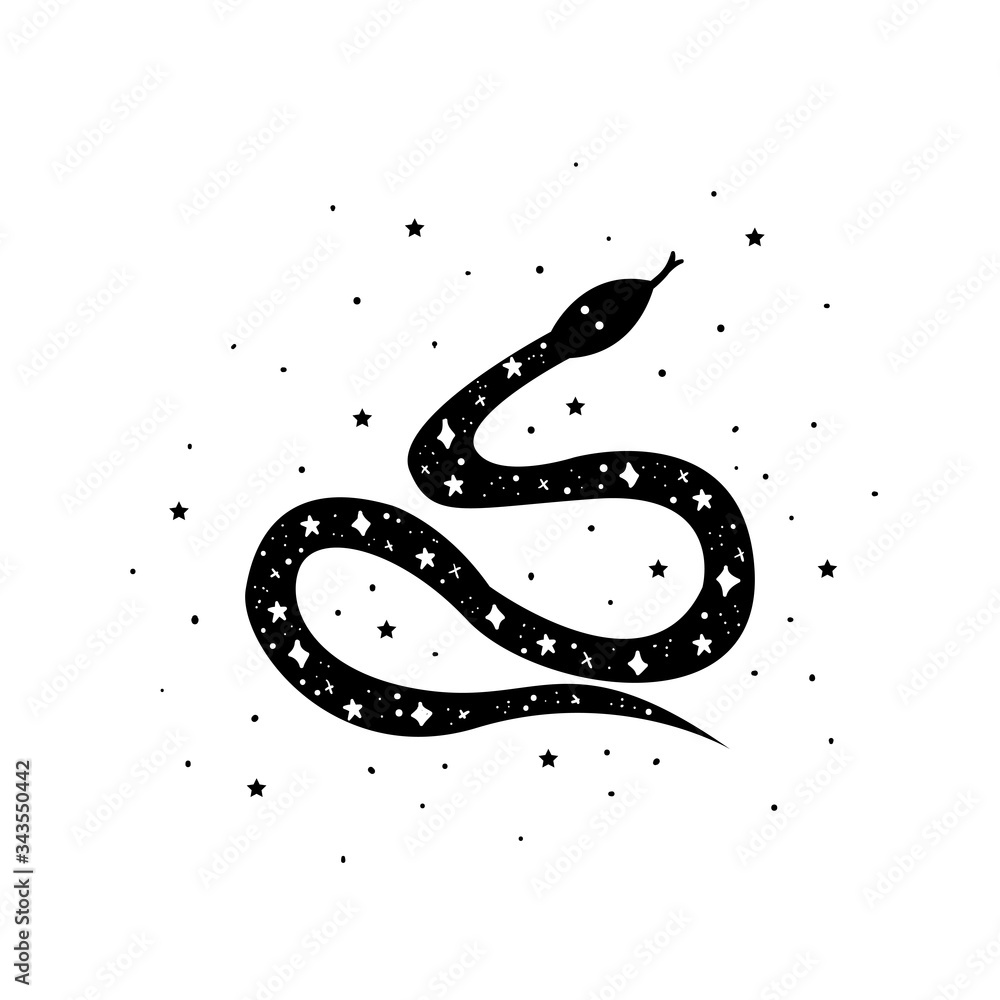 Mystical snake with moon and stars. Mystic, alchemy, occult concept. Mystical snake with moon and stars. Mystic, alchemy, occult concept.