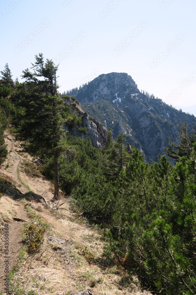 Am Brandelberg, Blick zum Spitzstein