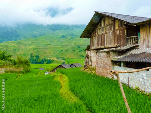 Lào Cai rice fields near Sapa (Chapa) in north mountains of Vietnam, Lào Cai, Vietnam