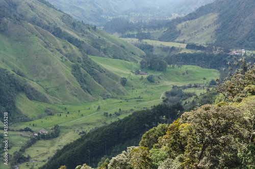 Cocora Valley  which is nestled between the mountains of the Cordillera Central in Colombia.