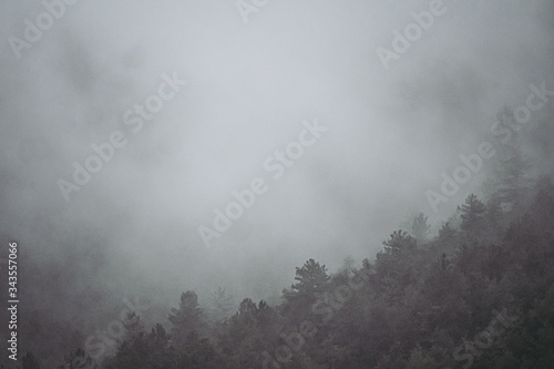 Paysage avec une ambiance triste, brume dans les arbres montagneux