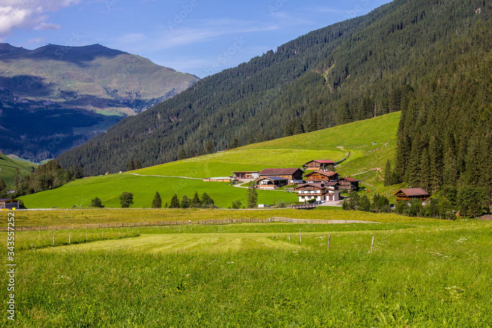Green Tyrolean Landscape with Chalets in Summer, Tux Valley, Austria