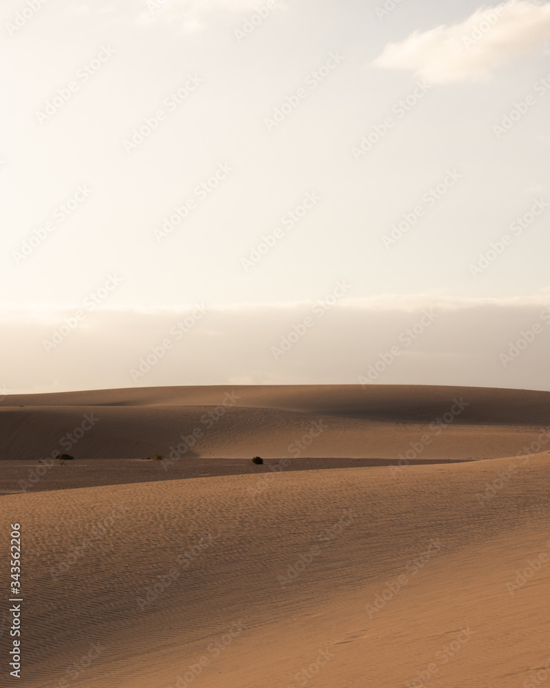 Amazing sunset in desert landscape 