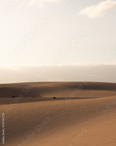 Amazing sunset in desert landscape 