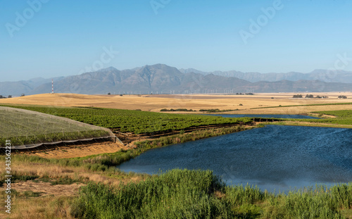 Riebeek Kasteel, Swartland, South Africa. 2019. Overview of the vineyards and wheat producing farms looking towards Gouda in the Swartland region. photo