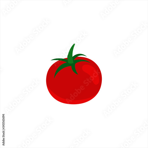 Juicy ripe tomato wing plan isolated vector illustration flat design. Harvesting