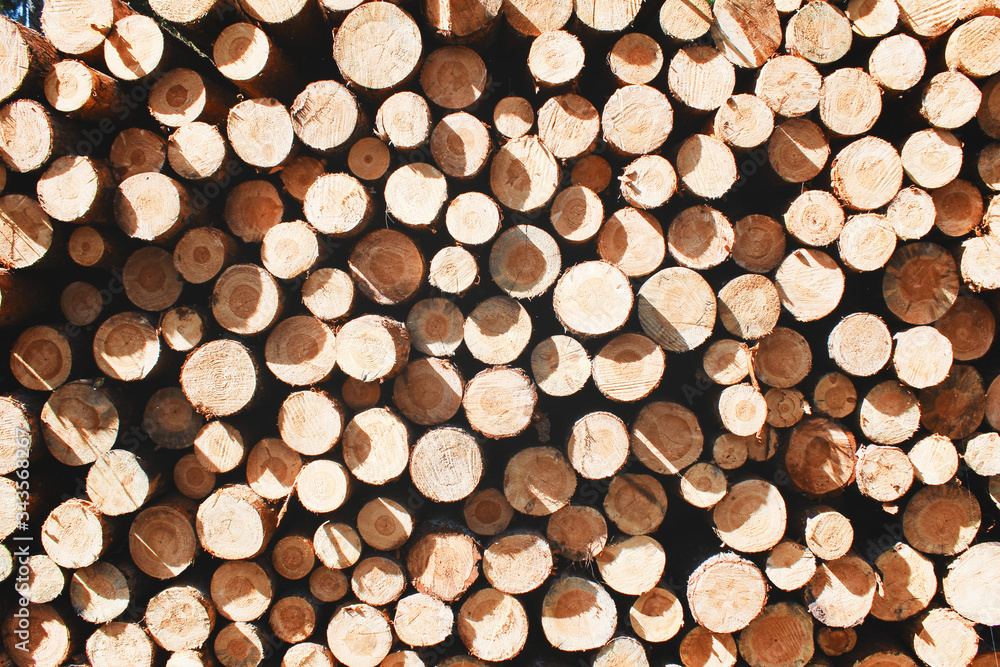 Stack of wood Stack of wood