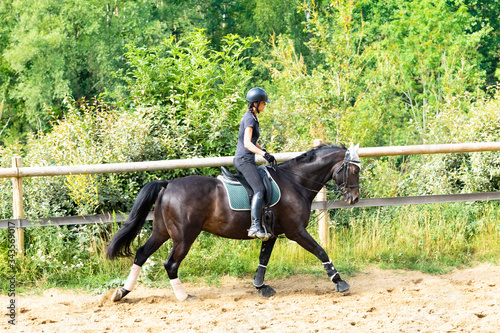 training of a rider and her bay horse in dressage © JPchret