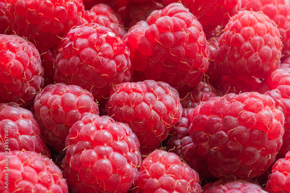 Delicious red raspberries. Summer berries. Ripe raspberry fruits macro. Natural background. Selective focus. Fruit background with copy space. Harvest concept of summer and berries. Vegan, vegetarian. Delicious red raspberries. Summer berries. Ripe raspberry fruits macro. Natural background. Selective focus. Fruit background with copy space. Harvest concept of summer and berries. Vegan, vegetarian.