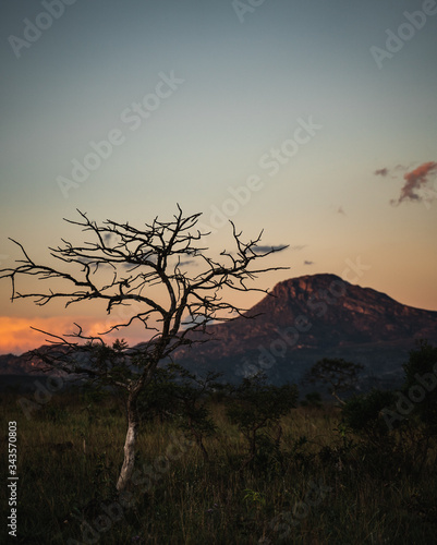 por do sol no cerrado