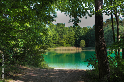 Kleiner See in Sasbach am Kaiserstuhl im Fr  hling