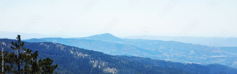 Mountain range with pine forest , horizontal Panorama Banner