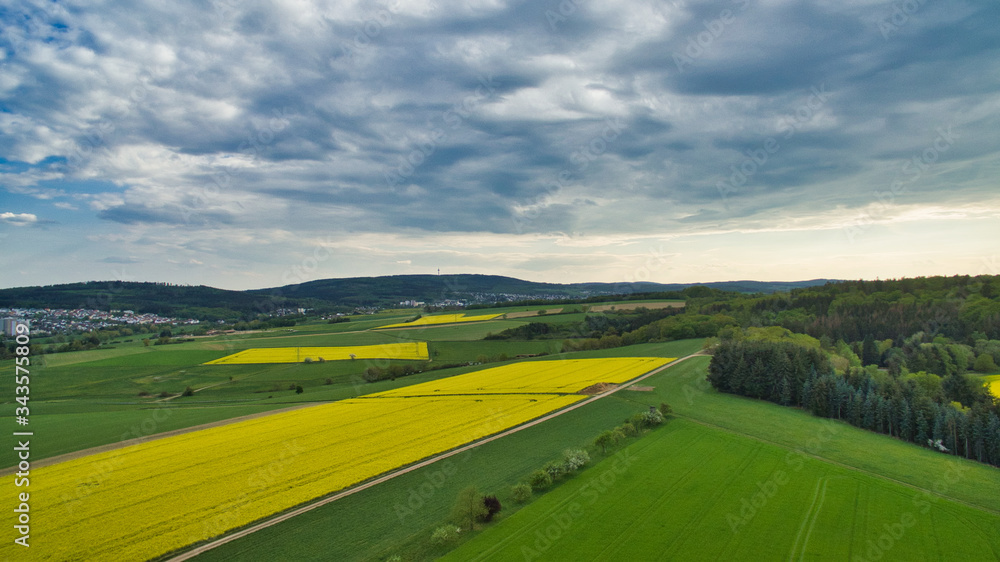 Obraz premium Rapsfelder Landschaft von oben