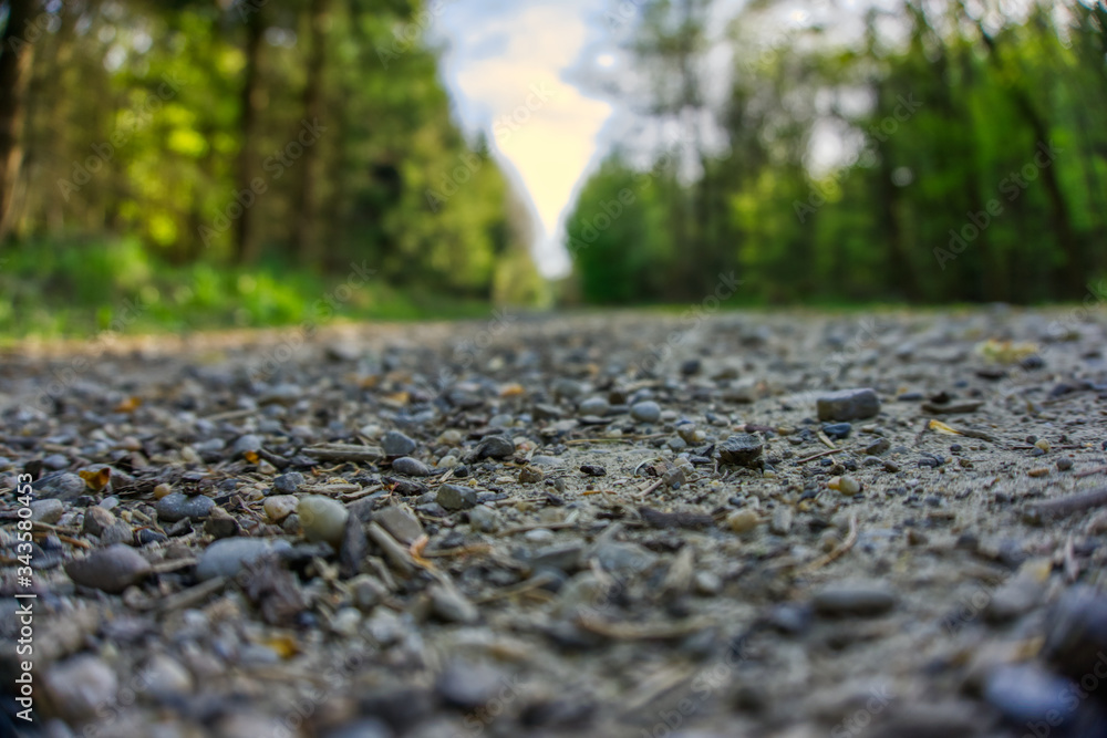 Road made of stones through the forest Road made of stones through the forest
