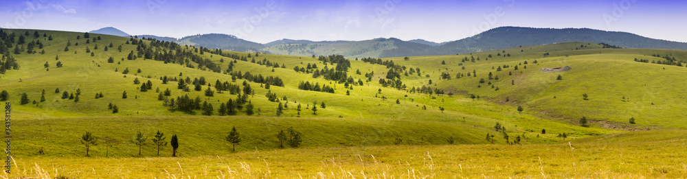 Panorama of mountain landscape. Summer in western Serbia. Great plains and mountains in background. Pine trees and meadows.