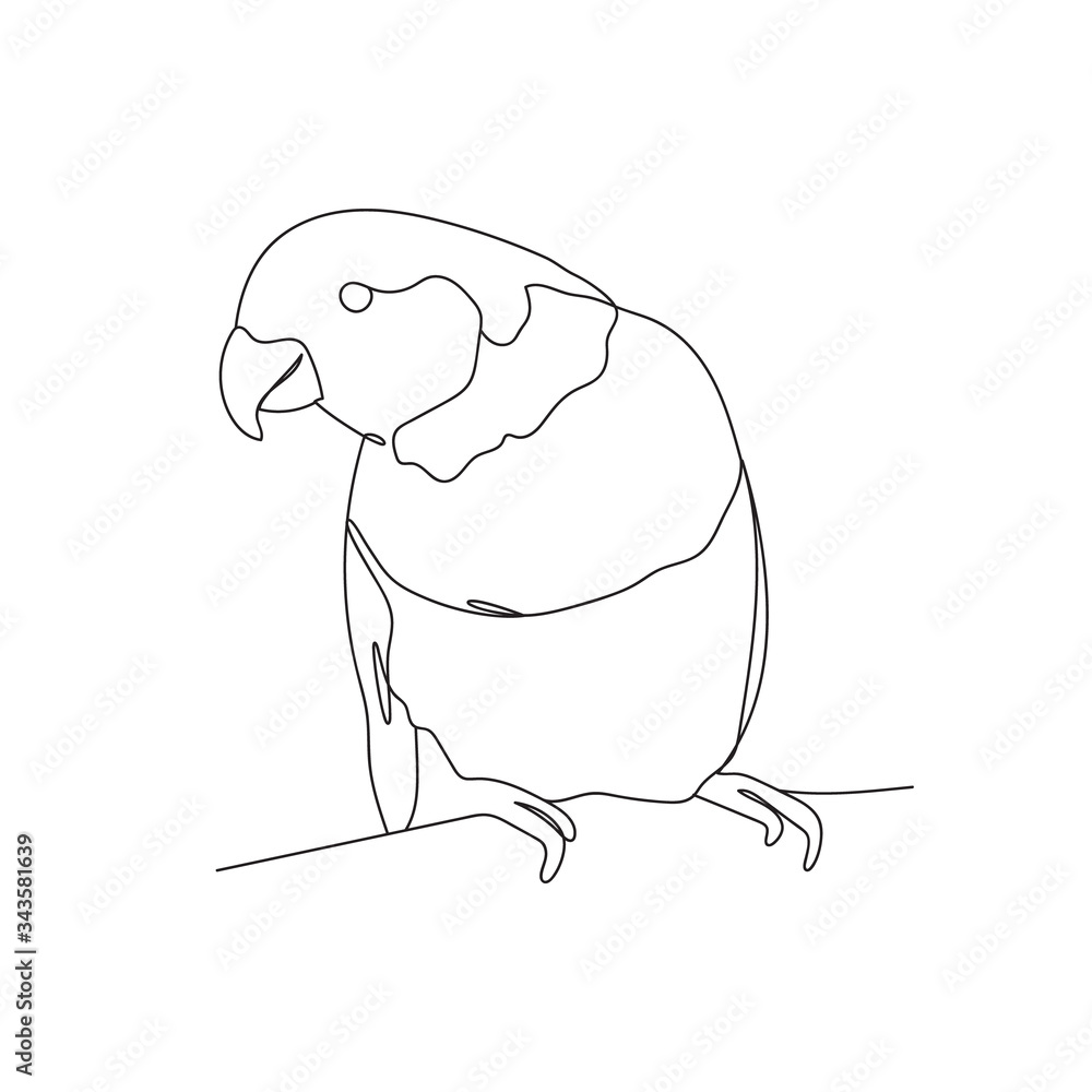 Continuous line drawing parrot bird. Stock Vector | Adobe Stock