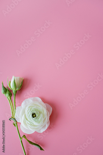 White flowers in a pink background.